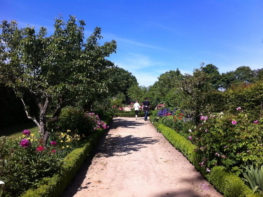 Chateau Des Briottieres Champigné Екстериор снимка